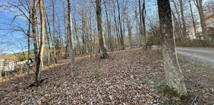 Buck Mountain  Dr, Roanoke