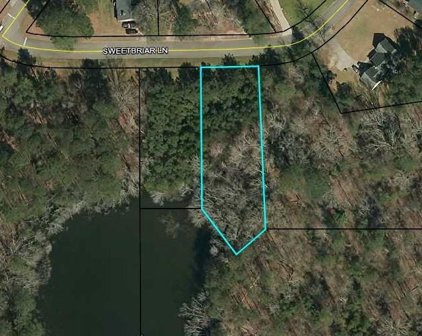 1 Sweetbriar, Griffin