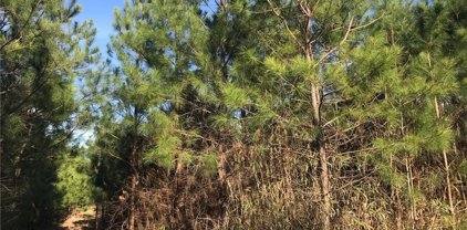 52 Ac. Indian Trail, West Suffolk