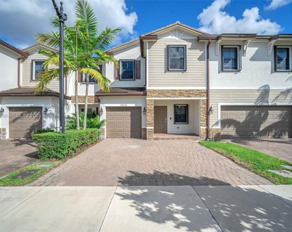 4618 Brumby Ter, Davie