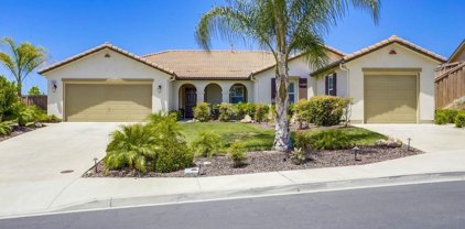 368 Tom Mcguinness Jr Circle, Fallbrook