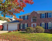16750 Deveronne  Circle, Chesterfield image