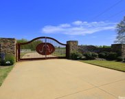 Lot 4 Block 1 Stonehill Ranch, Mayflower image