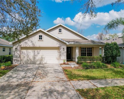 424 Down Pine Drive, Seffner