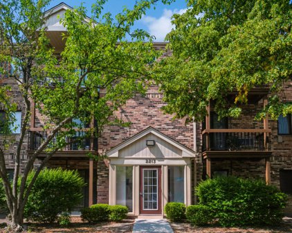 2213 W Nichols Road Unit #A, Arlington Heights