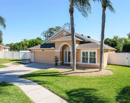22352 Yachtclub Terrace, Land O' Lakes
