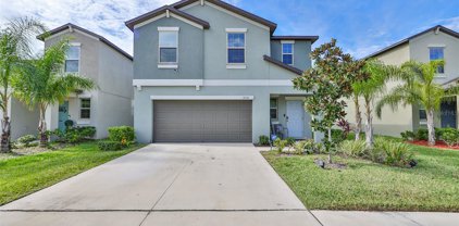 5114 Dandelion Street, Apollo Beach