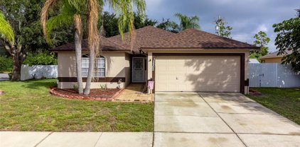 13202 Beechberry Drive, Riverview