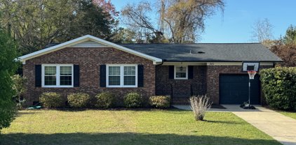 301 Mohican Trail, Wilmington
