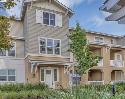 37854 Taro Terrace, Newark