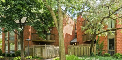 2131 N Larrabee Street Unit #6204, Chicago
