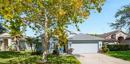 15032 Shaw Road, Tampa