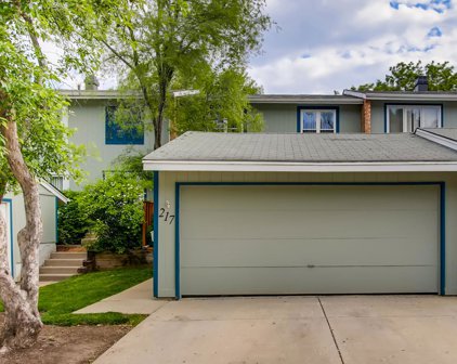 217 Applewood Lane, Bloomingdale