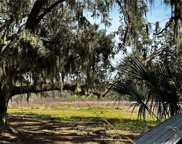 15055 Se 140th Court Road, Weirsdale image