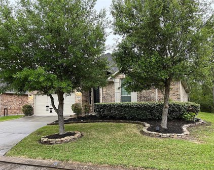 2433 Ameno Drive, Pearland