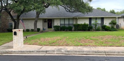 4206 Shadow Oak Woods, San Antonio