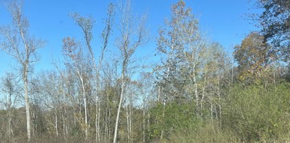 Maplewood Rd, Ashland City