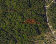 28032 Cross Way Oaks, Magnolia image