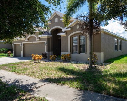 627 Tanana Fall Drive, Ruskin