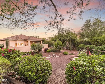13719 N Gold Cholla, Marana