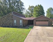 4661 S Big Horn Drive, Nesbit image
