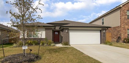 13333 Diamond Reef Lane, Texas City