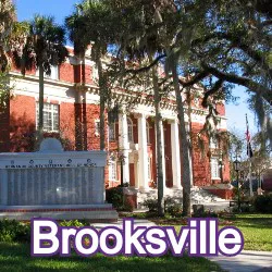Brooksville Florida Homes for Sale