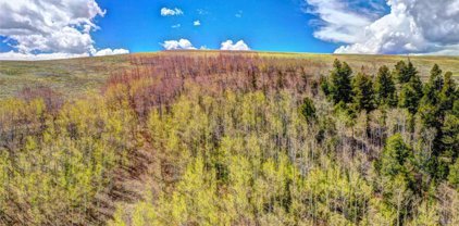 00 Jicarilla  Trail, Hartsel