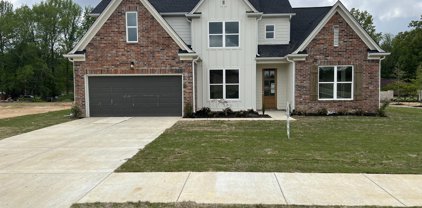 10226 May Flowers Street, Olive Branch