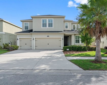 12210 Morgans Bluff Place, Riverview