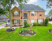 7002 Wild Violet Drive, Humble image