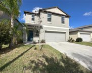 10255 Carloway Hills Drive, Wimauma image
