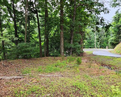 Lot 41 White Oak Mountain, Columbus