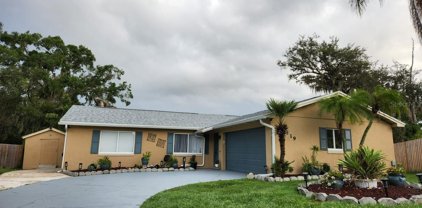 3319 Calumet Drive, Orlando