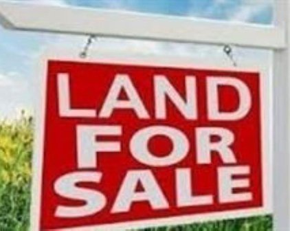 20908 Snowflake Place, Agassiz