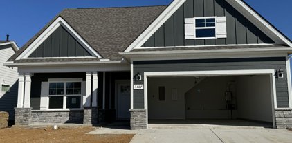 3707 Stormy Lane, Rockvale