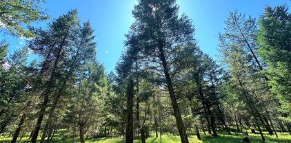 NHN Moose Farm Trail, Fortine
