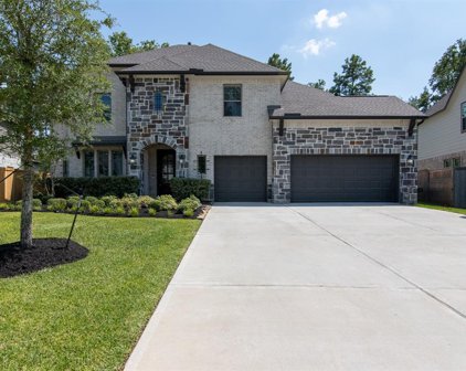 323 Calmato Woods Way, Conroe