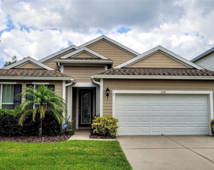 11514 Balintore Drive, Riverview