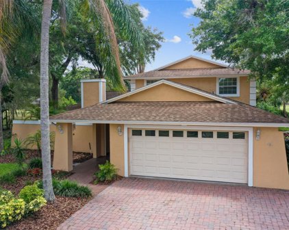 16234 W Course Drive, Tampa