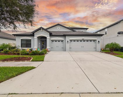8236 Sequester Loop, Land O' Lakes