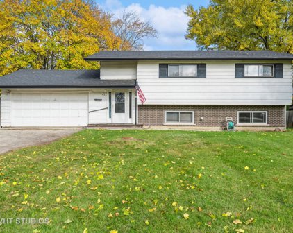 1005 E Liberty Street, Wauconda