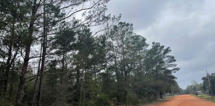 Lot 4&5 E E Orange Blossom Avenue, Defuniak Springs
