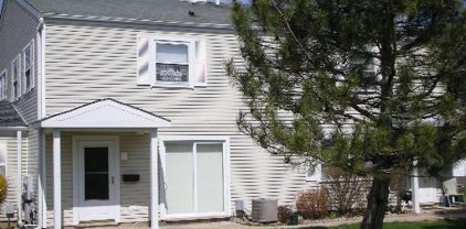 319 David Court Unit #C, Bartlett