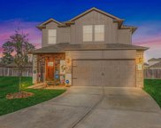 16835 Silent Pines Court, Conroe image