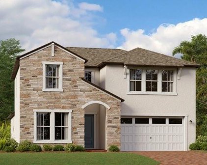 22542 Storybook Cabin Way, Land O' Lakes