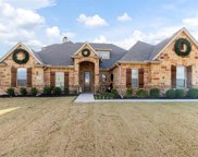 1333 Bluff Springs Drive, Fort Worth image