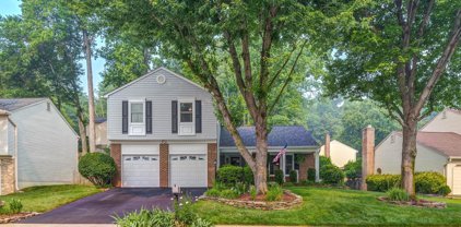 8306 Terra Grande Ave, Springfield