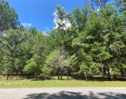Lot 39 Sw 75 Loop, Dunnellon image