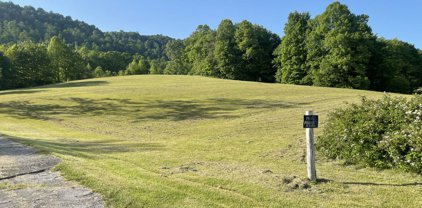 00 Muddlety Valley Road, Summersville